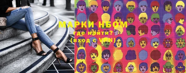 индика Алексин