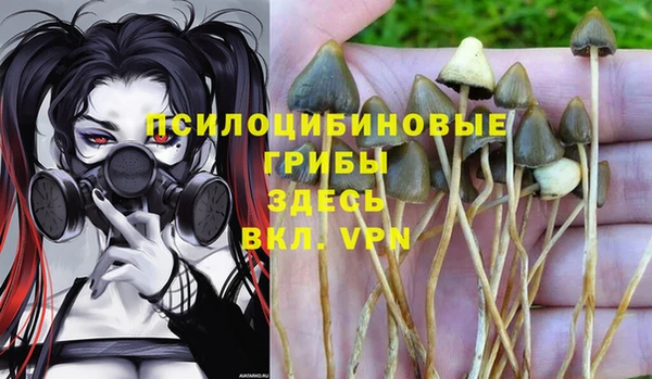 spice Алзамай