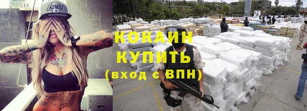 spice Алзамай