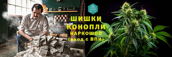 индика Алексин