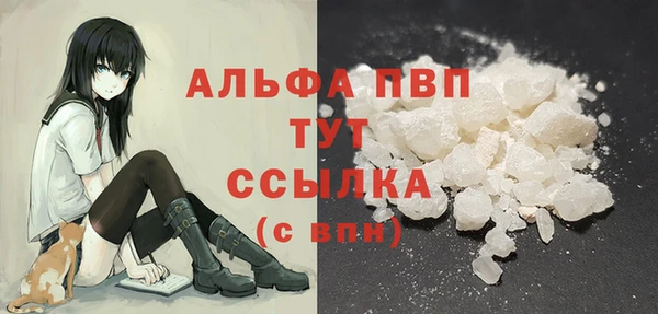 индика Алексин