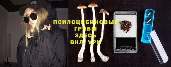 спайс Абдулино