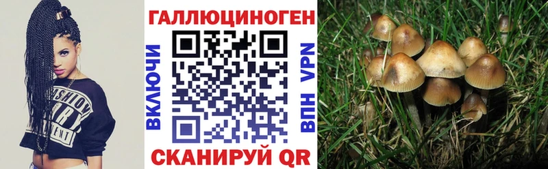 Галлюциногенные грибы Cubensis  Десногорск 